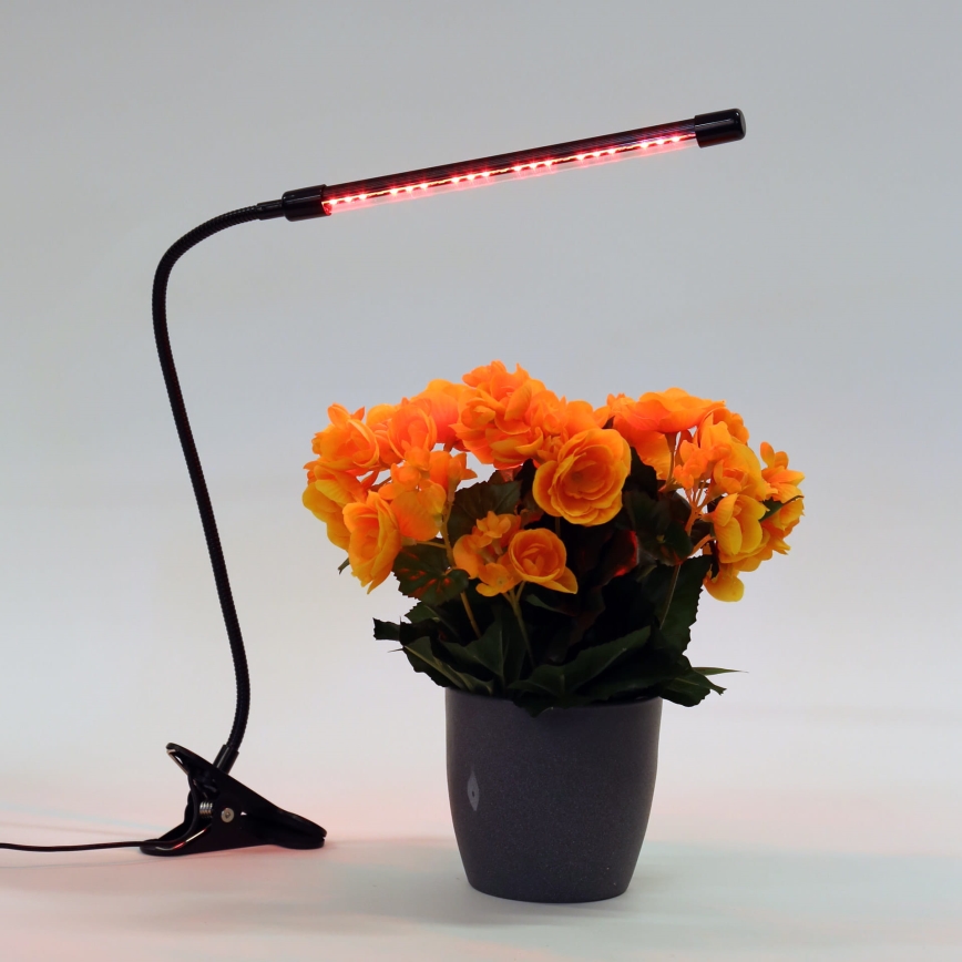 Lampada LED dimmerabile con clip per l'illuminazione delle piante LED/3W/230V nero