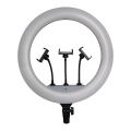 Lampada LED dimmerabile con treppiede e supporto per vlogger LED/55W/230V CRI 90 + telecomando
