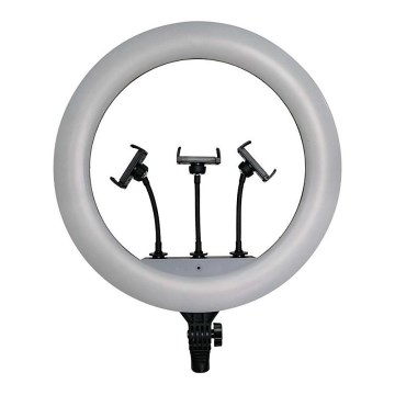 Lampada LED dimmerabile con treppiede e supporto per vlogger LED/55W/230V CRI 90 + telecomando