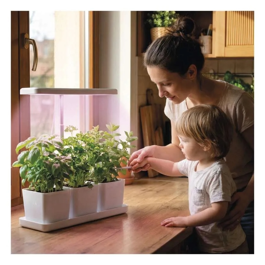 Lampada LED dimmerabile da interno per coltivazione di piante GROW LED/7W/5V