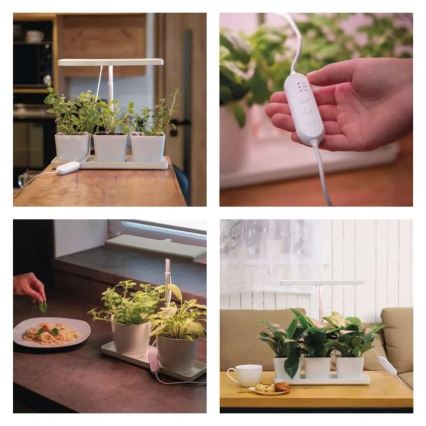 Lampada LED dimmerabile da interno per coltivazione di piante GROW LED/7W/5V