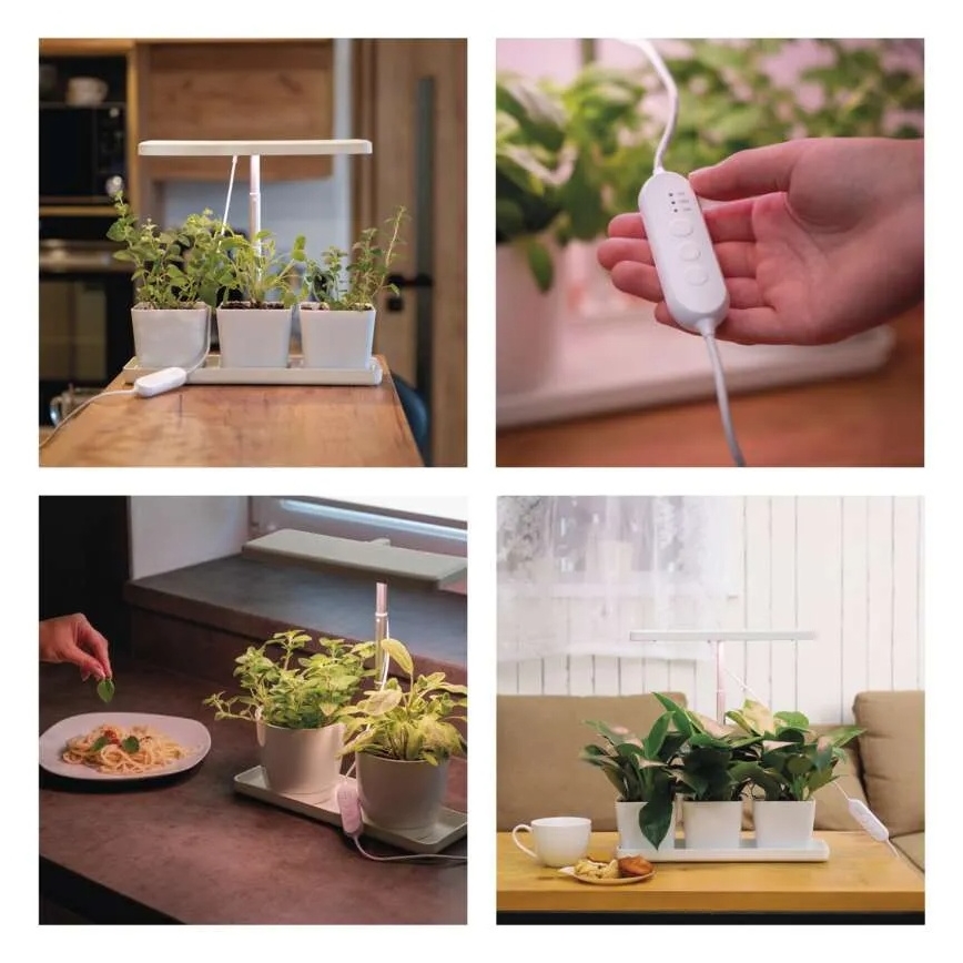 Lampada LED dimmerabile da interno per coltivazione di piante GROW LED/7W/5V