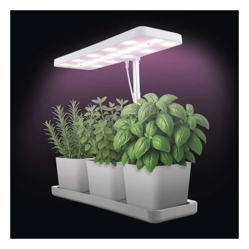 Lampada LED dimmerabile da interno per coltivazione di piante GROW LED/7W/5V