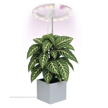 Lampada LED dimmerabile da interno per la coltivazione di piante GROW LED/8W/5V