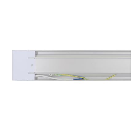 Lampada LED fluorescente AVILO 120 LED/36W/230V