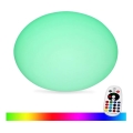 Lampada LED RGB dimmerabile per esterni LED/1W/5V 1000 mAh 20cm IP67 + telecomando