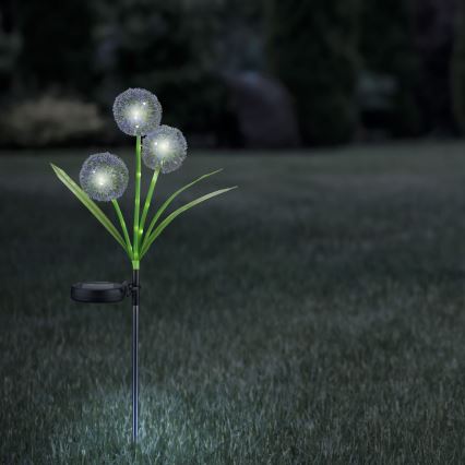 Lampada LED solare ALLIUM LED/1,2V 6500K 600 mAh IP44 nero