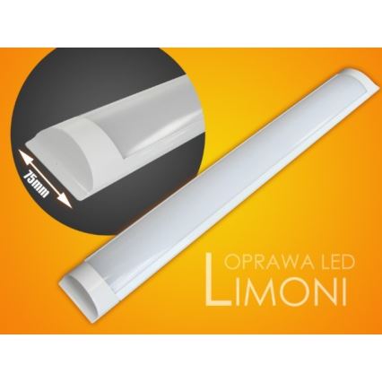 Lampada LED sottopensile LIMONI LED/40W/230V 3000K 120 cm