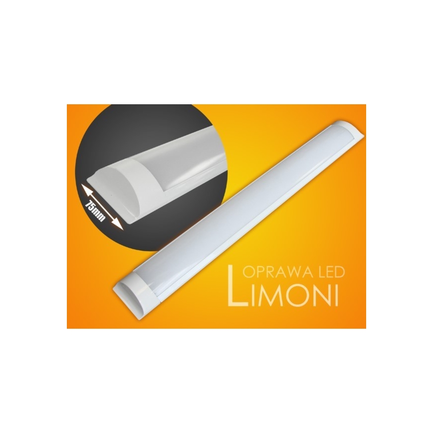Lampada LED sottopensile LIMONI LED/40W/230V 3000K 120 cm