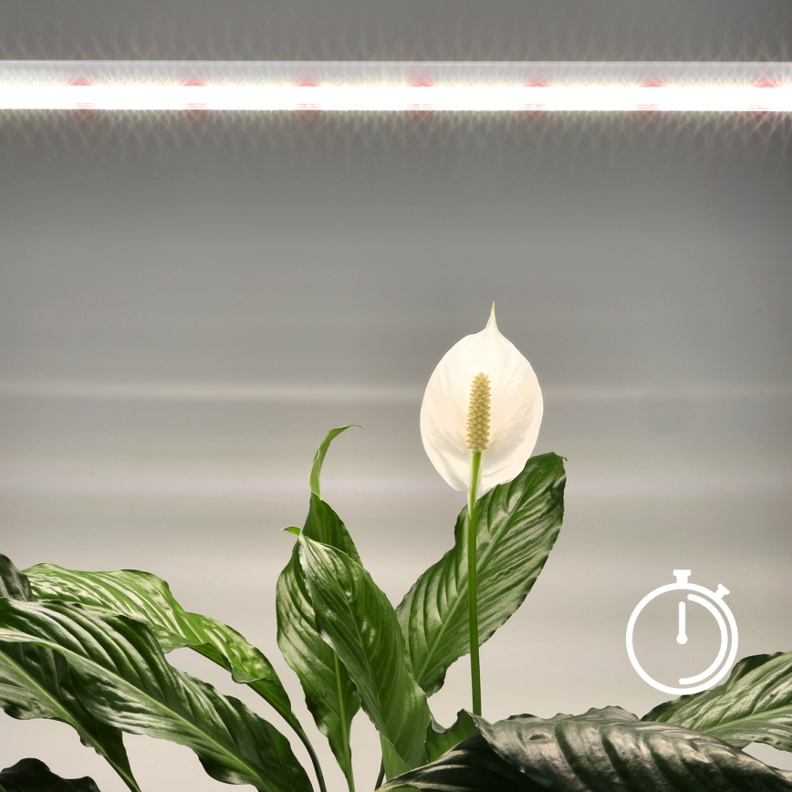 Lampada LED sottopensile per la coltivazione di piante GROWLY LED/15W/230W