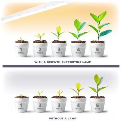 Lampada LED sottopensile per la coltivazione di piante GROWLY LED/15W/230W