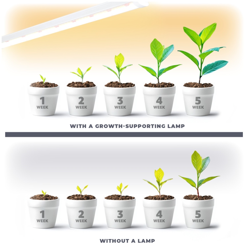 Lampada LED sottopensile per la coltivazione di piante GROWLY LED/15W/230W