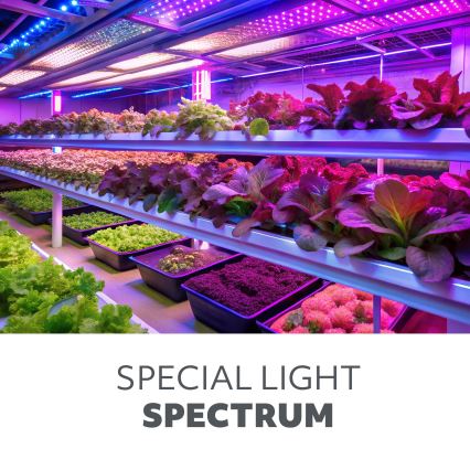 Lampada LED sottopensile per la coltivazione di piante GROWLY LED/15W/230W