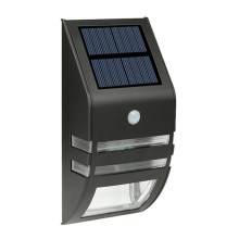 Lampada solare da parete a LED con sensore LED/3,7V IP44 nero