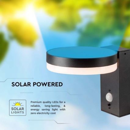 Lampada da parete solare LED da esterno con sensore LED/5,5W/3,7V 3000K IP54 2000 mAh
