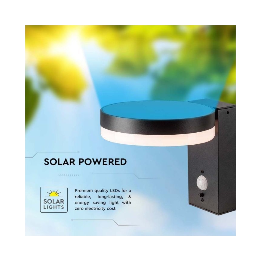 Lampada da parete solare LED da esterno con sensore LED/5,5W/3,7V 3000K IP54 2000 mAh