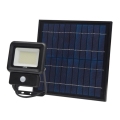 Lampada solare LED con sensore LED/30W/3,7V 6500K IP65 6600 mAh