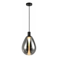 Lampada sospesa a cavo DENSO 1xG9/5W/230V Ø 20 cm nero cromato