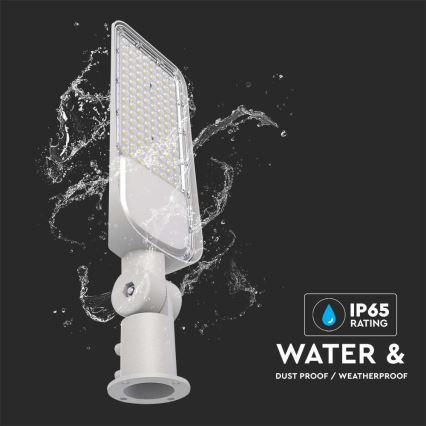 Lampione stradale LED CHIP SAMSUNG LED/100W/230V 6500K IP65 grigio