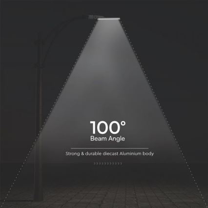 Lampada stradale LED SAMSUNG CHIP LED/100W/230V 6500K IP65