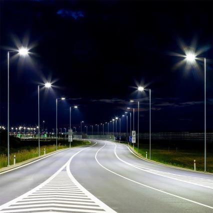 Lampada stradale LED SAMSUNG CHIP LED/50W/230V 4000K IP65 grigio