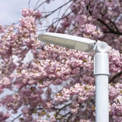 Lampada stradale LED SOLIS LED/50W/230V 4000K IP65