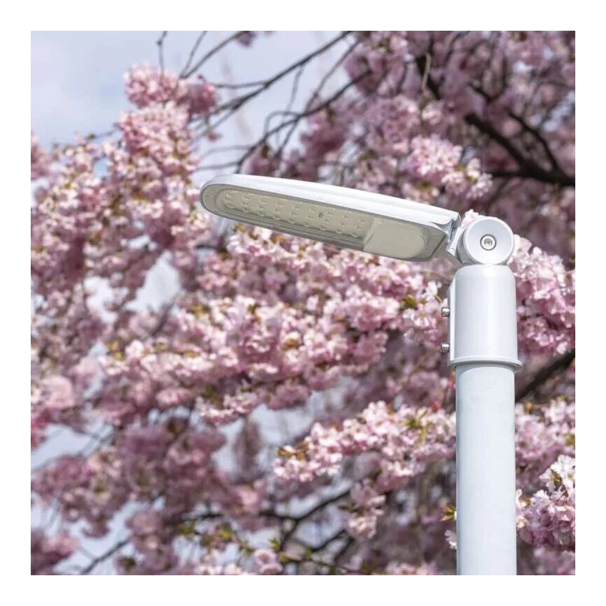 Lampada stradale LED SOLIS LED/50W/230V 4000K IP65