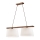Lampadario a cavo AIDA 2xE27/60W/230V