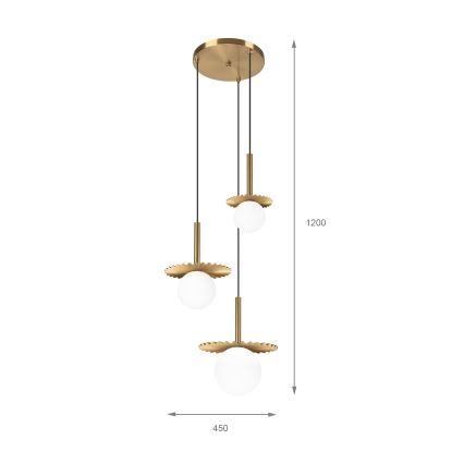 Lampadario a cavo CHITA 3xG9/5W/230V oro
