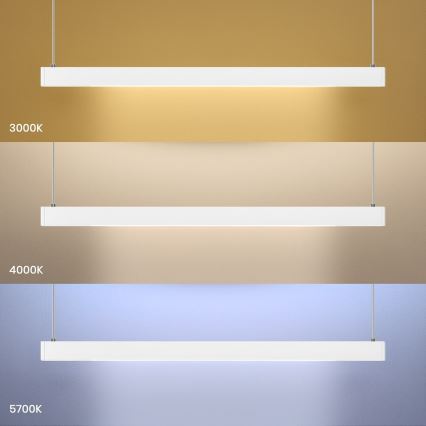 Lampadario a cavo LINEA LED/36W/230V 3000/4000/5700K CRI 90 bianco