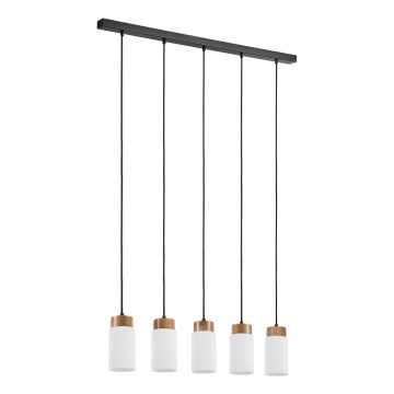 Lampadario a cavo MARKUS 5xE27/15W/230V nero