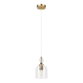 Lampadario a cavo VELARE 1xE27/15W/230V oro/trasparente