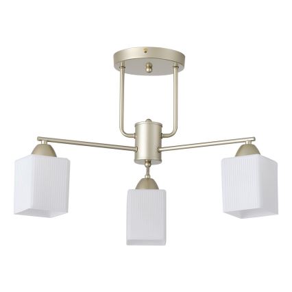 Lampadario a plafone 3xE27/60W/230V