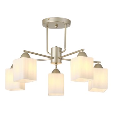 Lampadario a plafone 5xE27/60W/230V