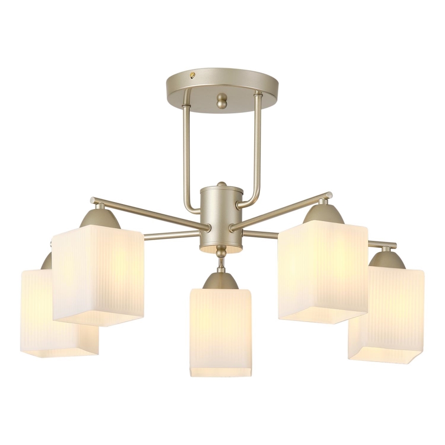 Lampadario a plafone 5xE27/60W/230V