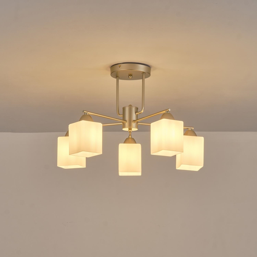 Lampadario a plafone 5xE27/60W/230V