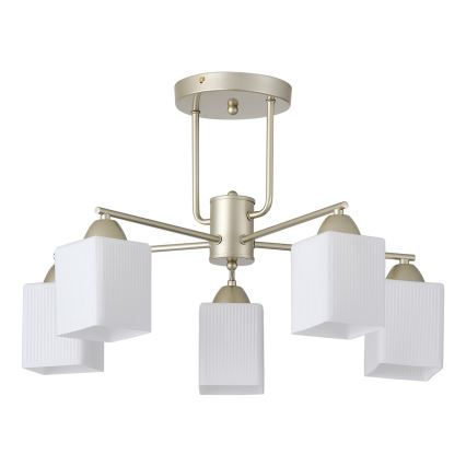 Lampadario a plafone 5xE27/60W/230V