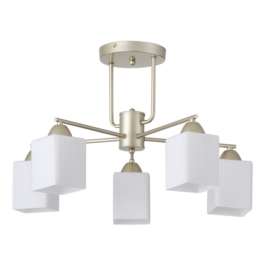 Lampadario a plafone 5xE27/60W/230V