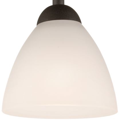 Lampadario a plafone ADRIANO 1xE27/60W/230V faggio
