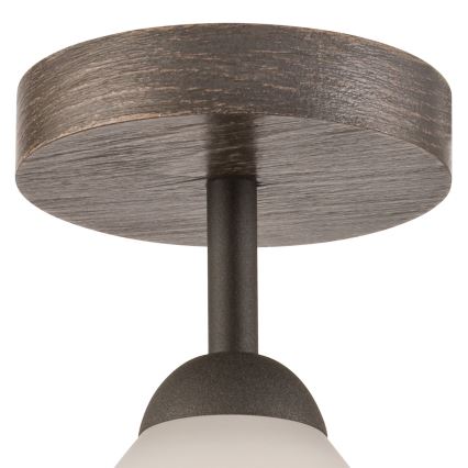 Lampadario a plafone ADRIANO 1xE27/60W/230V faggio