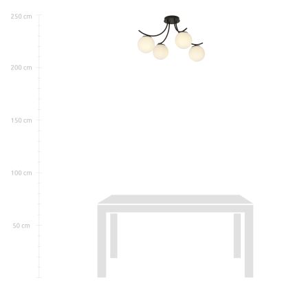 Lampadario a plafone BOSTON 4xE14/10W/230V nero