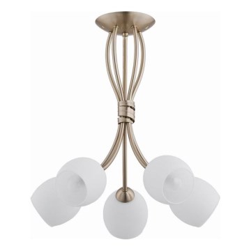 Lampadario a plafone BUENA 5xE14/10W/230V oro