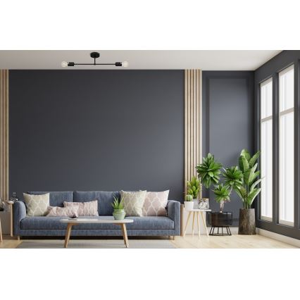 Lampadario a plafone CAMBRIDGE 2xE27/15W/230V nero