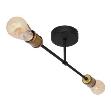 Lampadario a plafone CAMBRIDGE 2xE27/15W/230V nero/oro