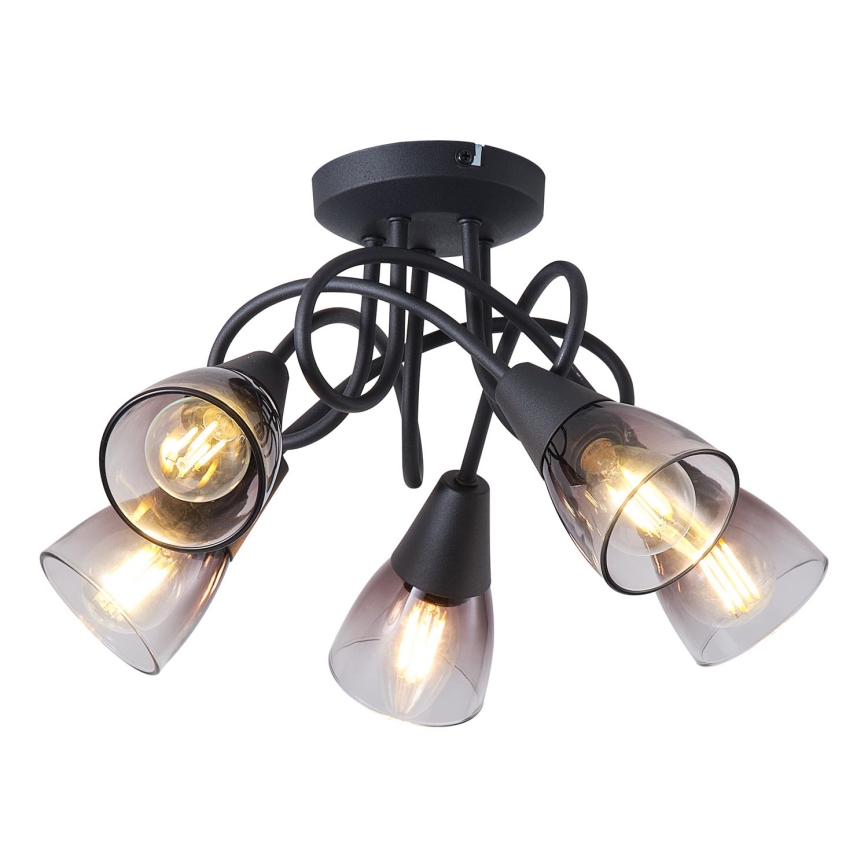 Lampadario a plafone CLASSY 5xE14/7W/230V