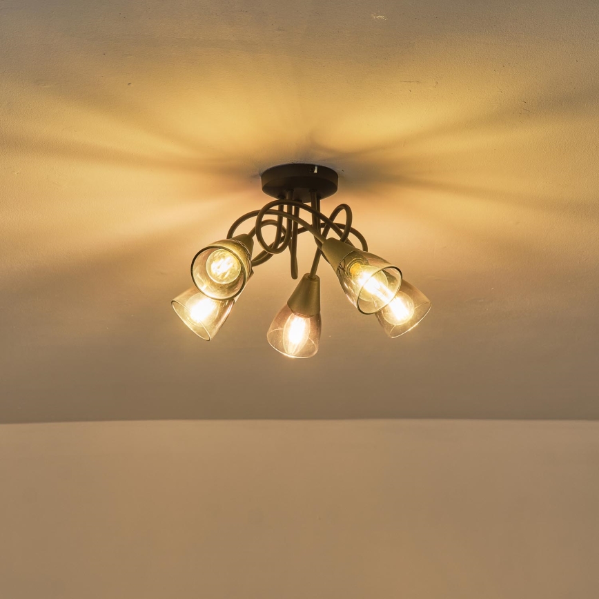 Lampadario a plafone CLASSY 5xE14/7W/230V