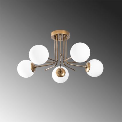Lampadario a plafone DAISY 5xE27/40W/230V