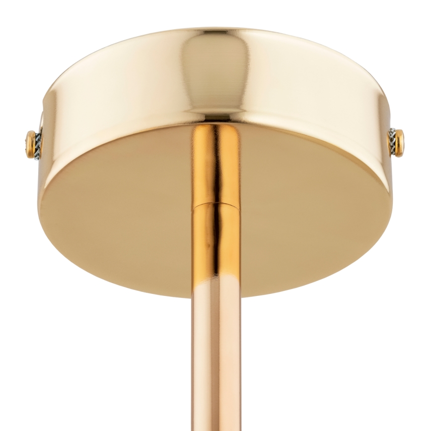 Lampadario a plafone ERAL 2xE14/40W/230V