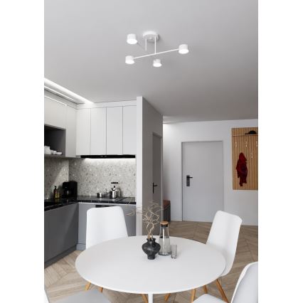 Lampadario a plafone HALO 4xGX53/10W/230V bianco