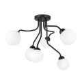 Lampadario a plafone HOLLY 6xG9/5W/230V nero